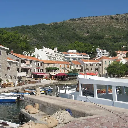 Oliva Lugo Lux *